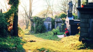 Жінка викрадала надгробні таблички з цвинтаря
