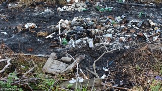 Станом на січень 2017 року на Львівщині зафіксували 327 несанкціонованих сміттєзвалищ