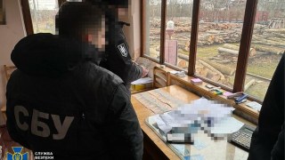 На Львівщині депутат міськради незаконно продавав деревину
