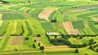 На Львівщині виділять ще 130 земельних ділянок учасникам АТО