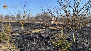 За добу на Львівщині зафіксували п'ять пожеж сухостою