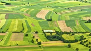 На Львівщині виділять 43 земельні ділянки для учасників АТО