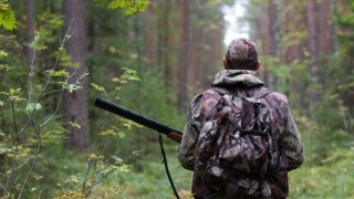 На Яворівщині браконьєри вбили дикого кабана
