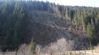 Четверо нардепів з Львівщини не підтримали пропозицію щодо інвентаризації лісів
