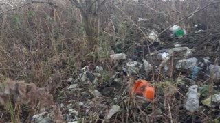 На території Львівської ОТГ виявили звалище побутового сміття