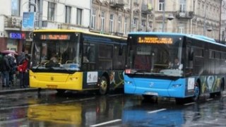 На День Львова громадський транспорт їздитиме за подовженим графіком