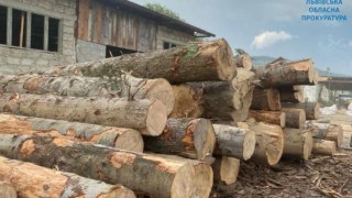 На Львівщині посадовців лісгоспу викрили на незаконному продажу деревини