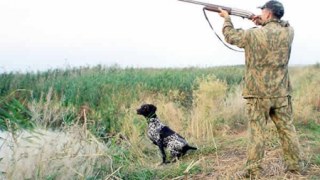 Сезон полювання на Львівщині почався з порушеннями