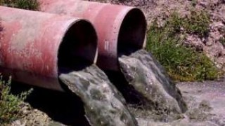 Стічні води «Ензиму» погіршують роботу очисних споруд Львова