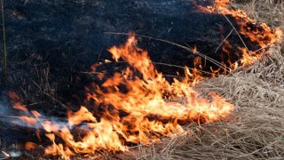 За добу на Львівщині зафіксували вісім пожеж сухої трави