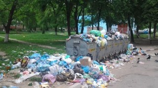 Половина місцевих рад Львівщини порушує антимонопольне законодавство щодо вивезення сміття