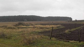 На Львівщині посадовці незаконно передали у приватну власність 6 га землі