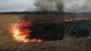 За добу на Львівщині зафіксували дві пожежі сухостою