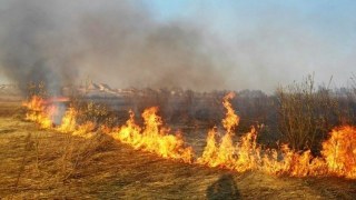На Львівщині штрафуватимуть власника території на якій сталася пожежа сухостою
