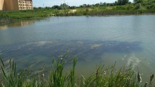 На Львівщині в озері втопився підліток