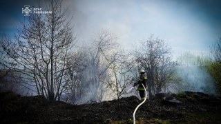 За добу на Львівщині зафіксували понад десять пожеж сухостою