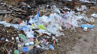 На Львівщині ліквідували понад 150 стихійних сміттєзвалищ