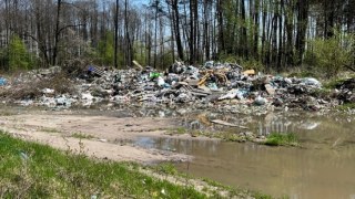 На Львівщині виявили 12 звалищ побутових відходів