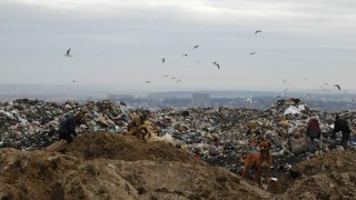 Міськрада Львова не вирішує проблем Грибовицького сміттєзвалища