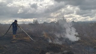 На Пустомитівщині рятувальники другий тиждень поспіль намагаються погасити пожежу торфу