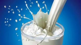«Свобода» вимагає від Панкевича навести порядок на ринку закупівель молока у області