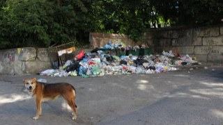 Дрогобич шукає перевізника для вивезення сміття з міста