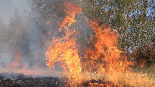Пожежа на Сокальщині: зайнялася суха трава