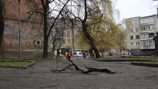 У Бродівському та Дрогобицькому районах негода зірвала дахи будівель та повалила дерева