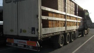 На Львівщині викрили експорт деревини