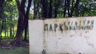 Досудове слідство розпочате у Дрогобичі за фактом самовільного будівництва в парку