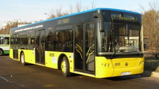 Із вересня у Львові кількість автобусів на маршрутах збільшиться