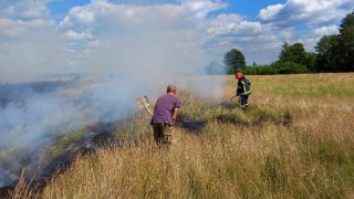 За добу на Львівщині зафіксували дев'ять пожеж сухостою