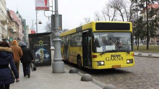 У Львові побільшає маршруток