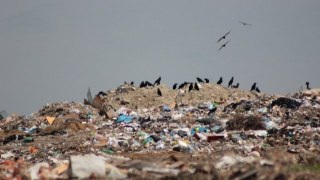 99% українських сміттєзвалищ не відповідають екологічним нормам