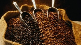 Працівники Львівської митниці вилучили понад 1200 кг кави