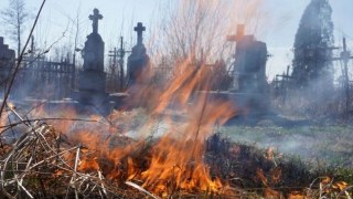 За добу на Львівщині зафіксували десять пожеж сухостою