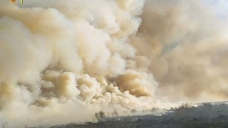 За добу на Львівщині зафіксували 18 пожеж сухостою