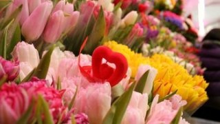Тюльпани коштують найдешевше на львівських квіткових ринках у день Св. Валентина