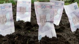Майже 30 млн. грн. плати за землю отримала податкова Львівщини від початку року