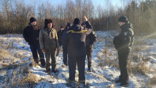 Лісник загинув внаслідок падіння дерева на Львівщині