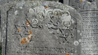 Єврейська громада намагається відновити єврейське кладовище у с. Соколівка Буського району
