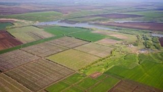 Львівські депутати виділили земельні ділянки кооперативу «Червона Калина» під садівництво