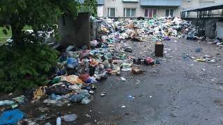 В одному з левандівських дворів сміття не вивозять із березня