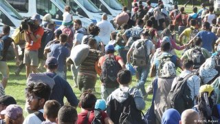 До Хорватії прибули 73 тис біженців