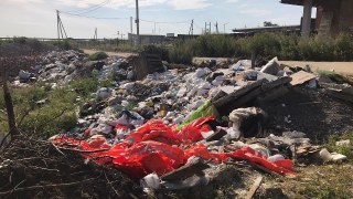 Поблизу Львова виявили п'ять незаконних сміттєзвалищ