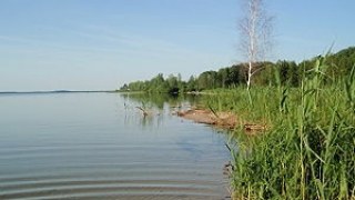 Екологічна катастрофа загрожує Шацьким озерам