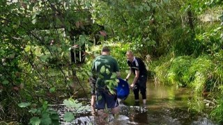 9200 мальків струмкової форелі випущено в річку Бережниця на Львівщині