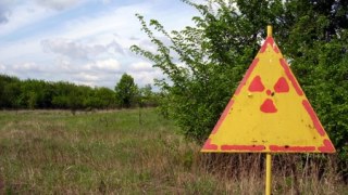 Експерти вважають, що Чорнобиль вже придатний для проживання людей