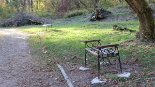 Львів'яни вимагають відновити парк Архангела Михаїла