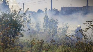 За добу на Львівщині зафіксували три пожежі сухостою